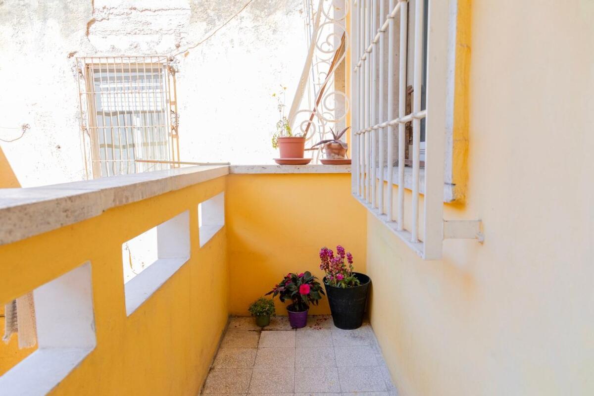 Apartment Vatican-cipro Spacious With A Balcony
